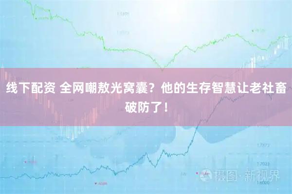 线下配资 全网嘲敖光窝囊？他的生存智慧让老社畜破防了！