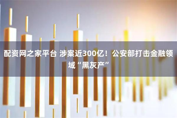 配资网之家平台 涉案近300亿！公安部打击金融领域“黑灰产”